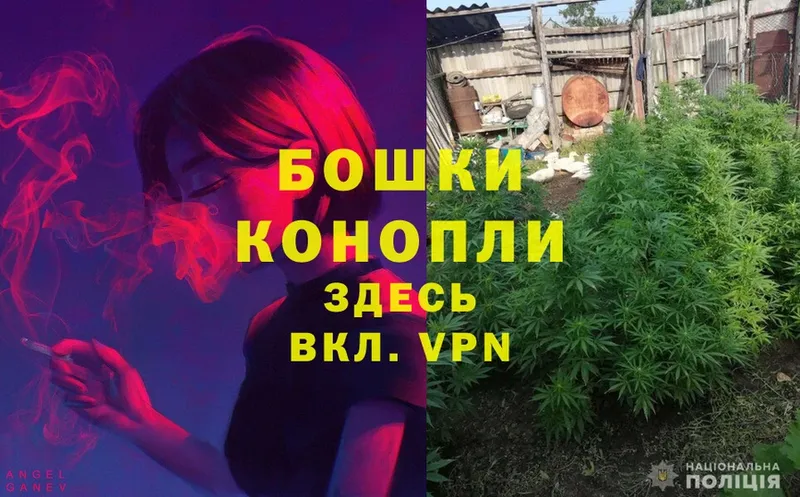 сайты даркнета клад  Буйнакск  МАРИХУАНА White Widow 